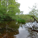 20180505_132023_HDR